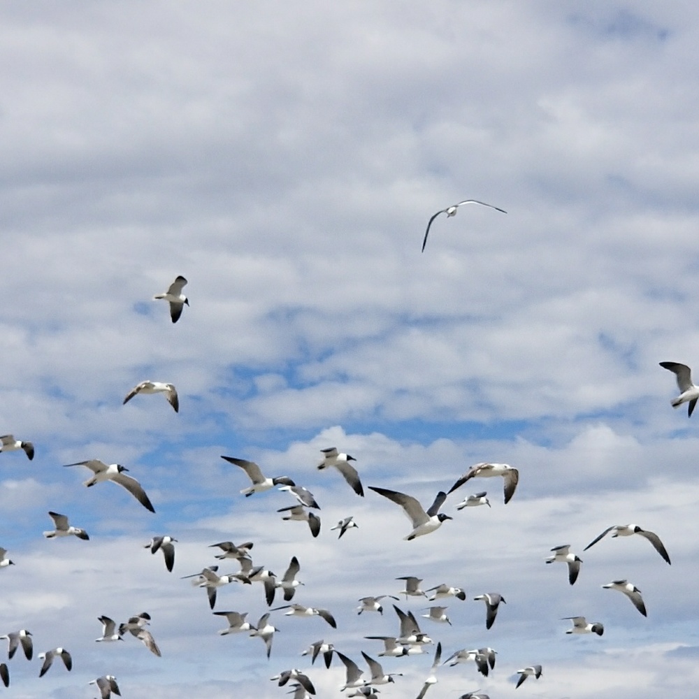 Meet your Posher, Tania